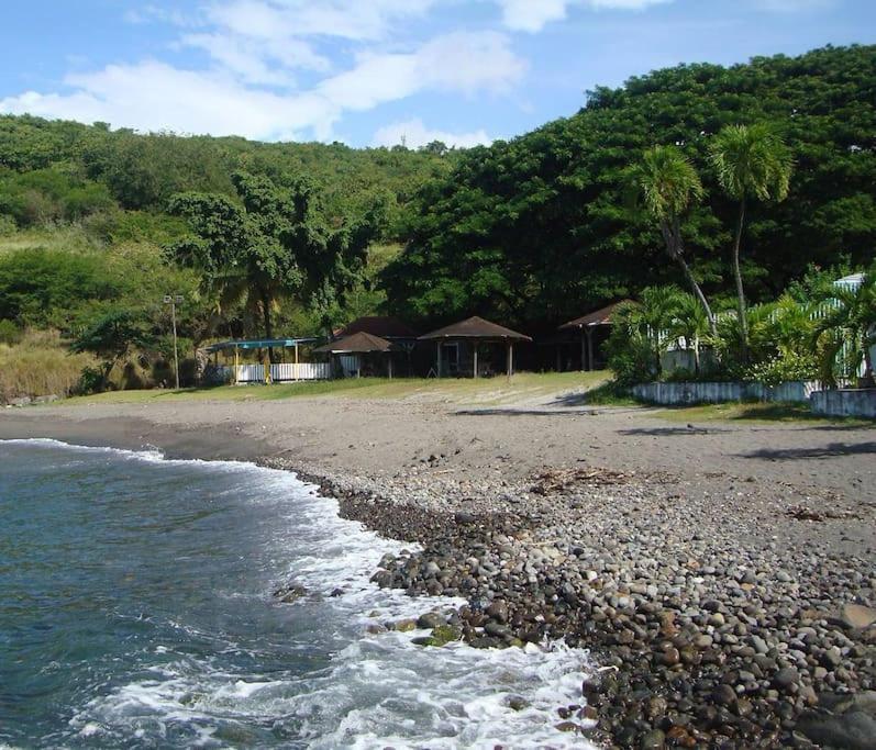 Maison La Voute Plage A 50M Et Riviere A Proximite Vieux-Habitants Extérieur photo